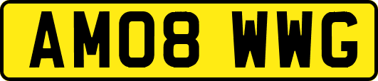 AM08WWG