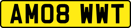 AM08WWT
