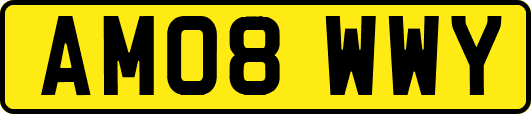AM08WWY