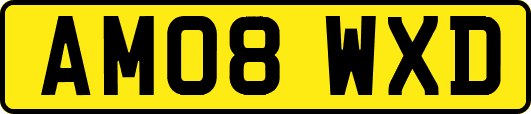 AM08WXD
