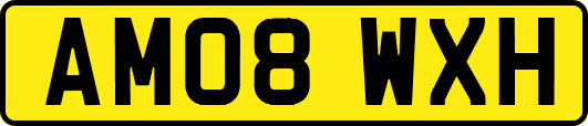AM08WXH