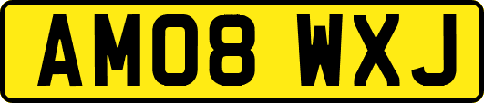 AM08WXJ