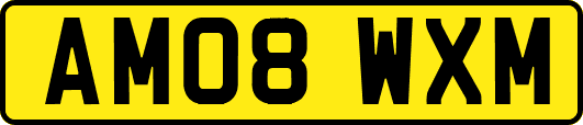 AM08WXM