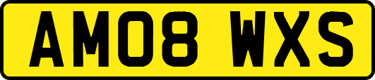 AM08WXS