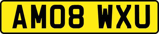 AM08WXU