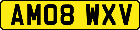 AM08WXV