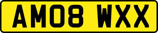 AM08WXX
