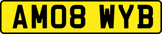 AM08WYB