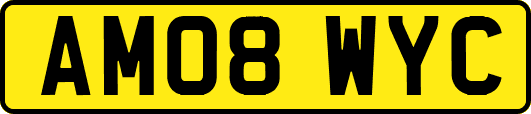 AM08WYC