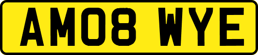 AM08WYE