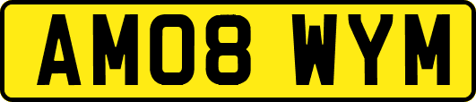AM08WYM