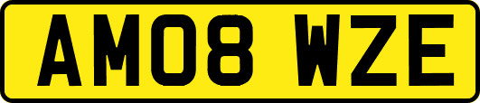 AM08WZE