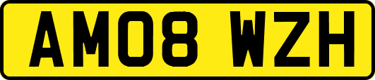 AM08WZH