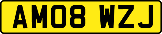 AM08WZJ