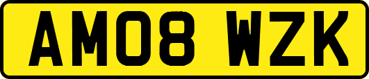 AM08WZK
