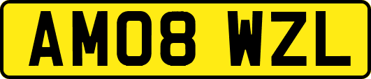 AM08WZL