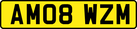AM08WZM