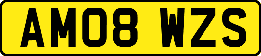 AM08WZS