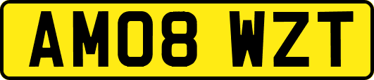 AM08WZT