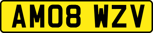 AM08WZV