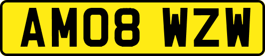 AM08WZW