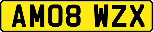 AM08WZX