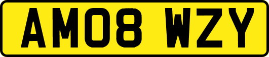 AM08WZY