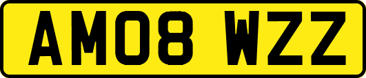 AM08WZZ
