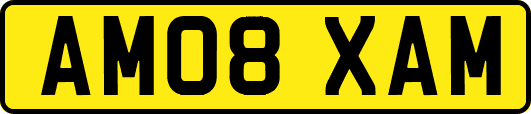 AM08XAM