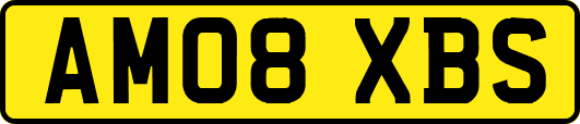 AM08XBS