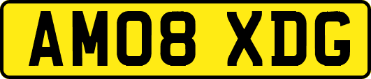 AM08XDG