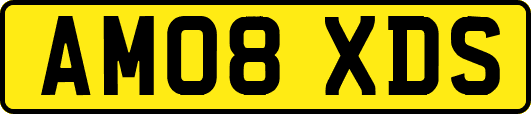 AM08XDS
