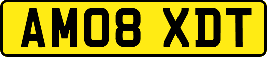 AM08XDT