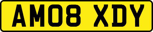 AM08XDY