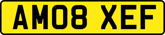AM08XEF