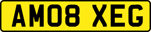 AM08XEG