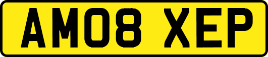 AM08XEP