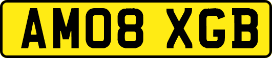 AM08XGB