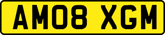 AM08XGM