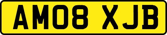 AM08XJB