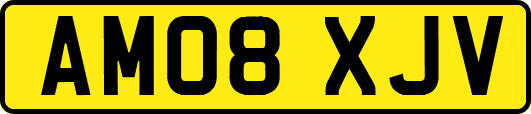 AM08XJV