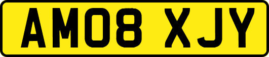 AM08XJY