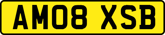 AM08XSB