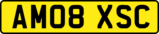 AM08XSC
