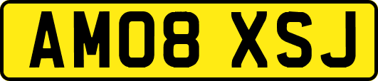AM08XSJ