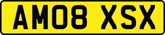 AM08XSX