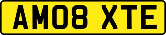 AM08XTE