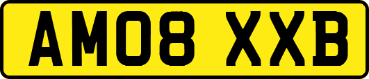 AM08XXB