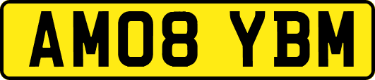 AM08YBM