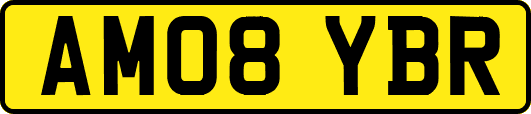 AM08YBR
